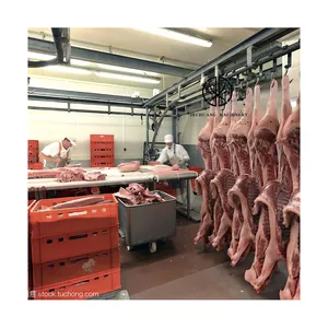 Hot Sale Complete Swine Abattoir Equipment Meat Processing Stainless Steel Pork Pulley Use Pig Slaughtering Stunning Machinery