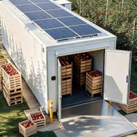 Solution de chambre froide solaire tout-en-un avec équipement de congélation pour entrepôt