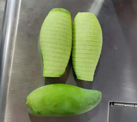 Automatische Fruit Dunschiller Machine Voor Mango 'S Appels Peren Kaki Avocado 'S Sinaasappels Verwerking In Fruit Verwerking Fabriek