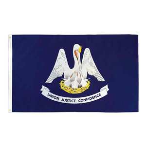 Высококачественный Стандартный флаг Джорджии, большие размеры, прямо с завода, различные государственные флаги, прочный полиэстер, цифровая печать - Product Image 2