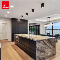 Armoires de cuisine modernes murales en contreplaqué stratifié et placage de bois Allandgroup American Florida pour projets d'appartements et de villas