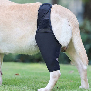 Pet Dog <b>Knee</b> <b>Brace</b> Rear Leg <b>Support</b> for Joint Pain Muscle Sore Elderly Disabled Injured Dogs Leg Bracer for Mobility Aid - Product Image 3