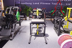 เครื่อง <span class=keywords><strong>GHD</strong></span> สำหรับบริหารกล้ามเนื้อสะโพกและหลังส่วนล่าง พร้อมโครงสร้างแข็งแรงรับน้ำหนักได้ 97 กก. - Product Image 3