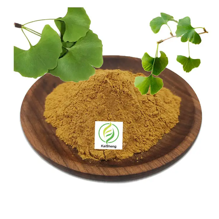 Wholesale 24% Flavone Ginkgo Biloba Leaf Extract Powder Ginkgo Biloba Extract