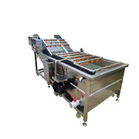 Volledig automatische groente- en fruitwasmachine met PLC-besturing, food grade, capaciteit 500 kg/uur, voor groenteverwerking.