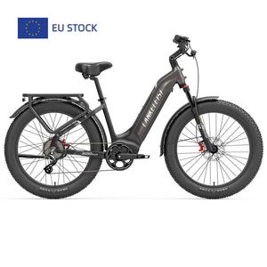 Xe đạp điện hybrid Lankeleisi MG600 PLUS 2025, 1000W, 48V, 20Ah, lốp béo, xe đạp điện có cảm biến mô-men xoắn, hàng có sẵn tại EU, phạm vi hoạt động xa - Product Image 1