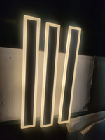Luminaire à bande longue en aluminium anticorrosion pour éclairage paysager de jardin, idéal pour portail de villa, extérieur et mur extérieur
