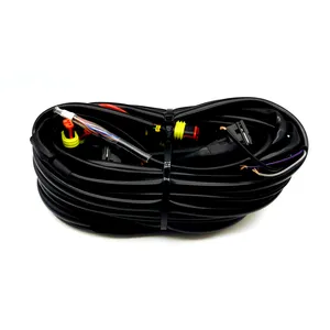 LLANO-arnés de cableado para coche, LN-H-48, LPG, CNG, ECU, Autogas, 48 pines