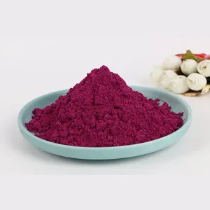 Fabrik Großhandel Bulk Bio natürliches getrocknetes Red Dragon Frucht pulver