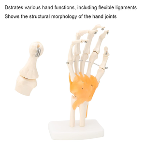 Linh hoạt 1:1 Kích thước cuộc sống mô hình khớp tay với cơ bắp khớp cổ tay Mô hình giải phẫu Silicone thực tế thực hành khớp tay - Product Image 2