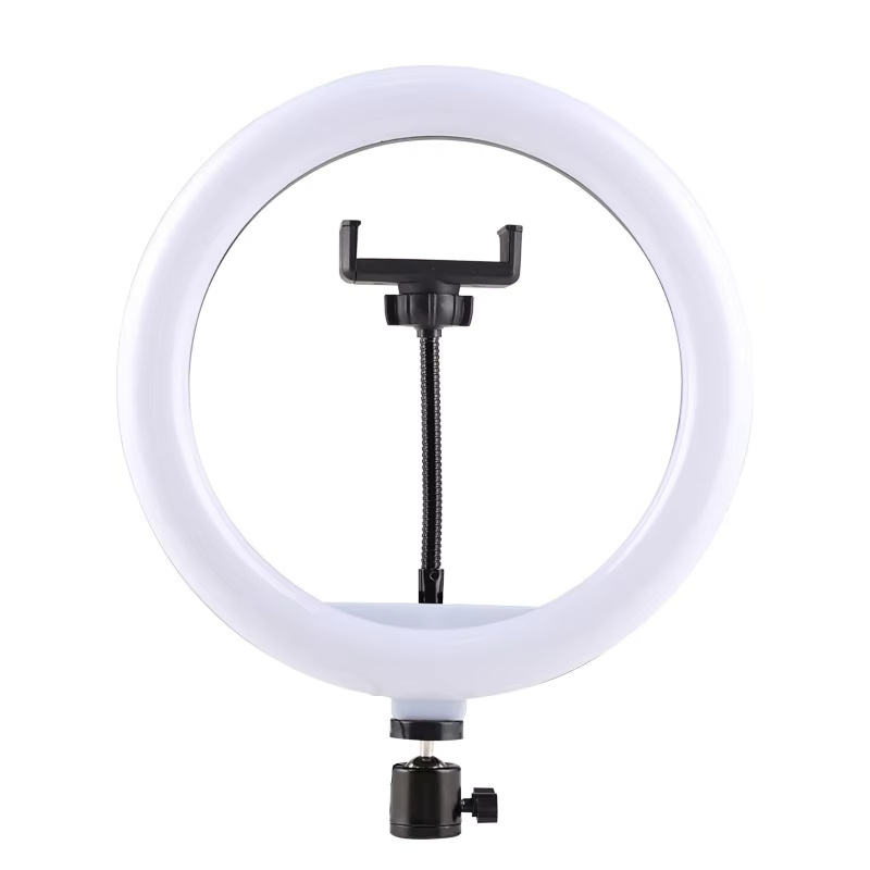 Lumière d'anneau de 26 cm