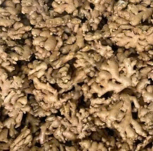 Jengibre seco entero de primera calidad de Vietnam con alto contenido de aceite adecuado para la exportación y la producción de alimentos - Product Image 5