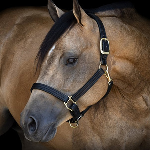 Cabestro de Cuero de Lujo para Caballo, Ajustable, de Doble Hebilla, Resistente, Personalizado al por Mayor - Product Image 4