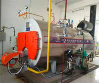 Chaudière industrielle à tubes de fumée WNS 3 passages, 400KW-700KW, à gaz naturel, pour eau chaude et vapeur, pour hôtels, carbone