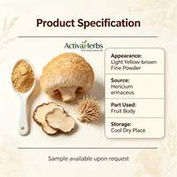 Poudre de champignon crinière de lion naturelle (Hericium Erinaceus) de qualité alimentaire en fût pour café aux champignons