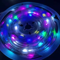 Home Smart Fairy Lights USB,10M RGB String Lights Dimmable avec télécommande, APP Control