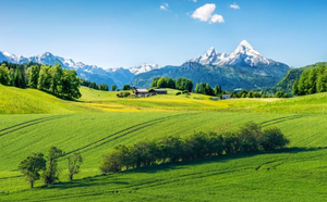 Paysages naturels, montagnes, rivières, montagnes enneigées, peintures murales, autocollants muraux, <span class=keywords><strong>jungle</strong></span> et prairies, papier peint imperméable - Product Image 6