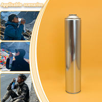 Vente en gros OEM de bombes aérosols métalliques vides portables pour l'extérieur, pour l'emballage de gaz et l'oxygène médical