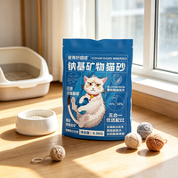 Sachet Doypack en PET et PE imprimé sur mesure, refermable, en plastique, stérilisable, avec bec verseur, pour détergent lessive, vente en gros