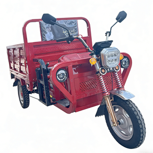 <span class=keywords><strong>Scooter</strong></span> électrique à pneus gras pour adultes personnalisé <span class=keywords><strong>hybride</strong></span> 60V 3000W, tricycle motorisé à <span class=keywords><strong>3</strong></span> <span class=keywords><strong>roues</strong></span> avec cadre - Product Image 2