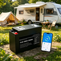 Baterai LiFePO4 12V 200Ah Deep Cycle Slimline untuk Caravan RV Camper Trailer Marine Solar Storage dengan Bluetooth BMS