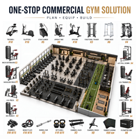 Solution complète TOPTONS pour salle de sport commerciale : équipement de musculation et de cardio pour club de fitness professionnel