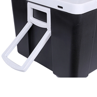 Refroidisseur thermoélectrique Portable AC/DC, vente en gros d'usine, pour les soins de la peau, les boissons, la maison, le bureau et la voiture