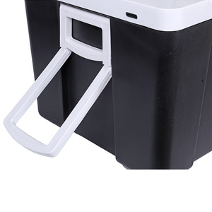 Refroidisseur thermo<span class=keywords><strong>électrique</strong></span> Portable AC/DC, vente en gros d'usine, pour les soins de la peau, les boissons, la maison, le bureau et la <span class=keywords><strong>voiture</strong></span> - Product Image 6