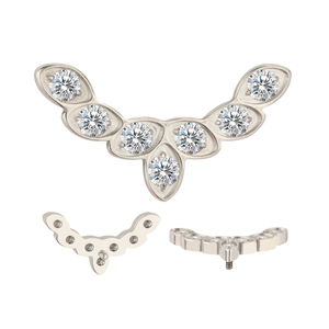 Fabbrica all'ingrosso-società americana per test e materiali f136 titanio interno filettato naso labret top gioielli <span class=keywords><strong>zir</strong></span> - Product Image 1
