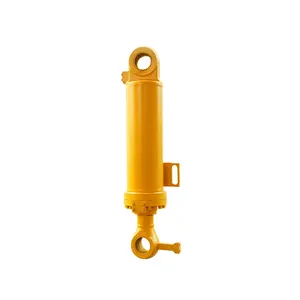 China Manufacturers Directly Sale Farm Tractor Loader Double Acting Hydraulic Cylinders