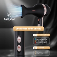 Sèche-cheveux professionnel Sonifer SF-9731 avec protection contre la surchauffe, machine de salon avec embout et diffuseur pour la maison et le salon