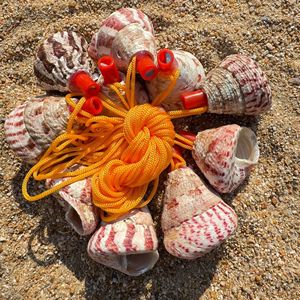 Fischietto in Conchiglia Naturale, Corno di Conchiglia Fatto a Mano per Esibizioni Musicali, Attività all'Aperto, Feste a Tema Spiaggia, Decorazioni per Matrimoni - Product Image 1