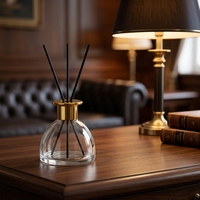 Diffuseur de parfum de luxe en gros 100 ml, bouteille en verre globe à marque privée, sans alcool, sans BPA, aromathérapie longue durée pour l'air ambiant