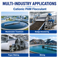 Agent de déshydratation des boues polymères cationiques CPAM, poudre floculante, pureté 99 %, pH 5,0-7,0
