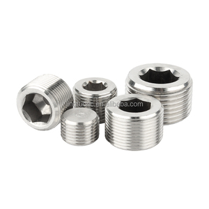 SS304 thép không gỉ NPT PT g 1/8 inch đến 2 inch phụ kiện đường ống M8 để M33 Hex ổ cắm đầu ống cắm - Product Image 3