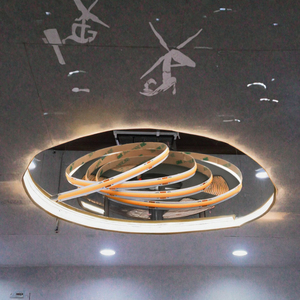Cinta LED COB RAYMATES de Alto CRI 90, 480 LED, Flexible, 24V, 1m, en 2700K/3000K/4000K/6000K, USB, IP20 - Product Image 3