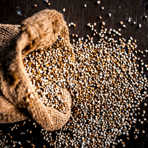 Millet perlé indien de qualité - Product Image 1
