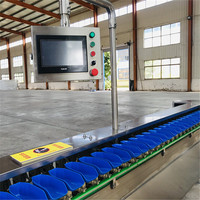 Fabrieksprijs Automatische Fruitgroente Sortering Appelaardappel Tomaat Oranje Avocado Ui Sortering Wasmaat Weegmachine