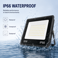Projecteur LED 50W 100W 200W IP66 Étanche Haute Luminosité Stades Sportifs Contrôle par Application IRC 80 150 Angle de Faisceau