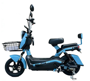 Moteur pour hommes et femmes, mini tricycle 16 pouces 60V 800W, 2 roues avant, pneus larges, moteur central 750W 36V 18V, vélo électrique - Product Image 2