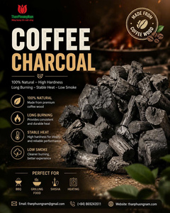 TPN High Calorific Value Long Burning Time OEM Available Vietnam Premium Citrus Charcoal Manufacturer & Wholesale Supplier - Product Image 5