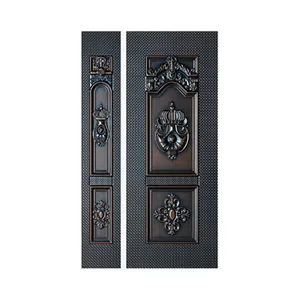 Hot Sale High Quality Stainless Steel Security Double Door Skins