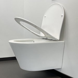 <span class=keywords><strong>WC</strong></span> combiné avec réservoir à double chasse, élément de salon, siège en plastique intégré - Product Image 6