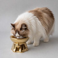Gamelle surélevée en céramique pour chat avec miroir, finition dorée métallisée, rebord incliné ergonomique, 250 ml, Or et Argent, pour chats