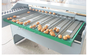 Industrial Stainless Steel Factory Direct Sell <b>Egg</b> Weight Sorting Grading Machine - Product Image 4