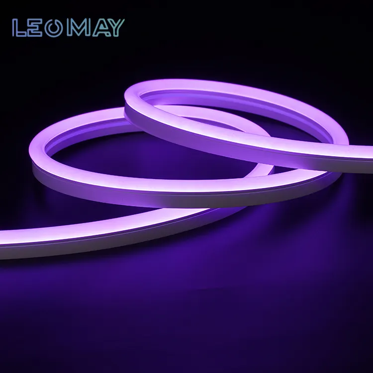 LEOMAY harga pabrik Rgbic Led dapat diubah Flex 24V Strip Neon tali lampu warna penuh tahan air IP67