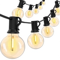 Guirnalda de Luces Navideñas de 30m con 50 Bombillas LED Resistentes a los Golpes, Grado Comercial, Plástico Impermeable, Luces Colgantes para Bistro y Jardín