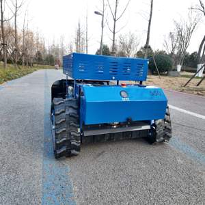 Cortadora de Césped Robusta de 550 mm con Certificación CE y Estante de Almacenamiento para Viveros Comerciales, Jardines Botánicos y Arbóreteros Públicos - Product Image 1