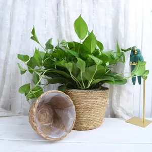 Paille Tissage Fleur <span class=keywords><strong>Plante</strong></span> <span class=keywords><strong>Pot</strong></span> Panier Herbe Planteur Panier Intérieur <span class=keywords><strong>Extérieur</strong></span> <span class=keywords><strong>Pot</strong></span> De Fleur Couverture <span class=keywords><strong>Plante</strong></span> Conteneurs pour Plantes Plantables - Product Image 3