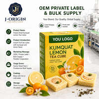 Gefreeze-droogde Kumquat Citroen Thee Kubus Instant Fruitthee Drank OEM Private Label Leverancier China Voedingsmiddelenkwaliteit 12 Maanden Houdbaarheid